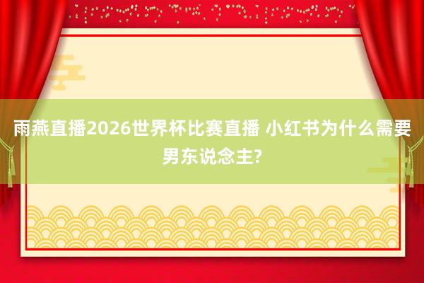 雨燕直播2026世界杯比赛直播 小红书为什么需要男东说念主?