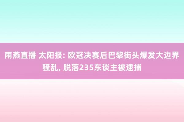 雨燕直播 太阳报: 欧冠决赛后巴黎街头爆发大边界骚乱, 脱落235东谈主被逮捕