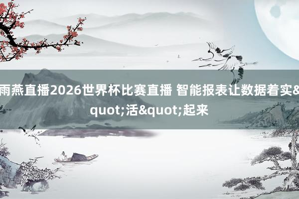 雨燕直播2026世界杯比赛直播 智能报表让数据着实"活"起来