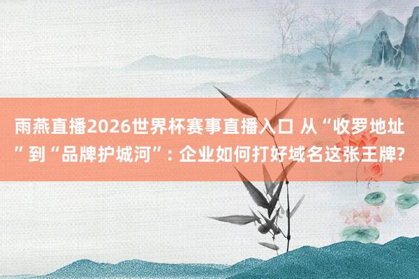 雨燕直播2026世界杯赛事直播入口 从“收罗地址”到“品牌护城河”: 企业如何打好域名这张王牌?
