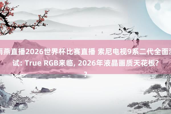 雨燕直播2026世界杯比赛直播 索尼电视9系二代全面测试: True RGB来临, 2026年液晶画质天花板?
