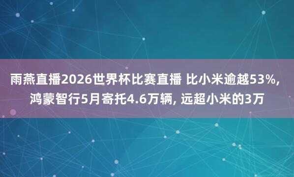 雨燕直播2026世界杯比赛直播 比小米逾越53%, 鸿蒙智行5月寄托4.6万辆, 远超小米的3万