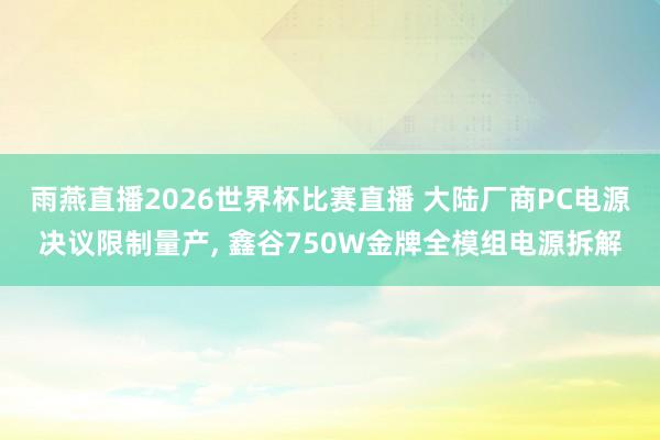 雨燕直播2026世界杯比赛直播 大陆厂商PC电源决议限制量产, 鑫谷750W金牌全模组电源拆解