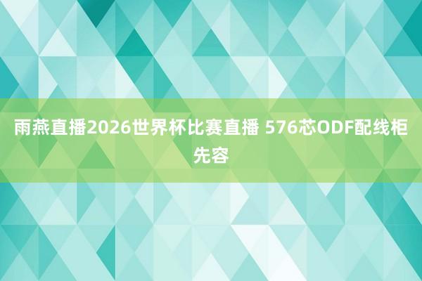 雨燕直播2026世界杯比赛直播 576芯ODF配线柜先容