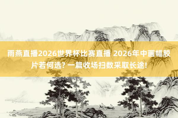 雨燕直播2026世界杯比赛直播 2026年中画幅胶片若何选? 一篇收场扫数采取长途!