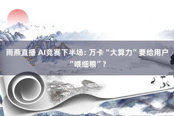 雨燕直播 AI竞赛下半场: 万卡“大算力”要给用户“喂细粮”?