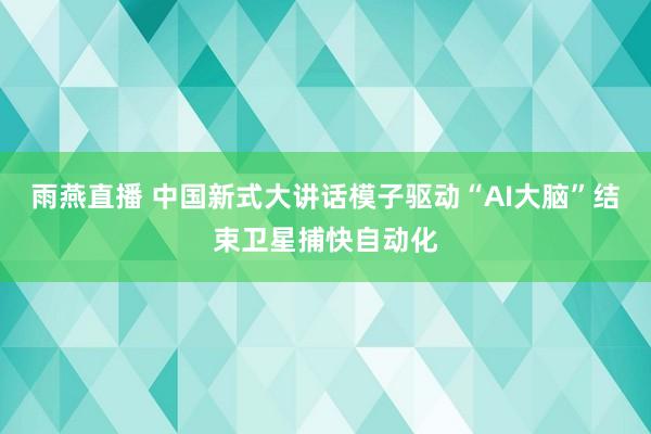雨燕直播 中国新式大讲话模子驱动“AI大脑”结束卫星捕快自动化