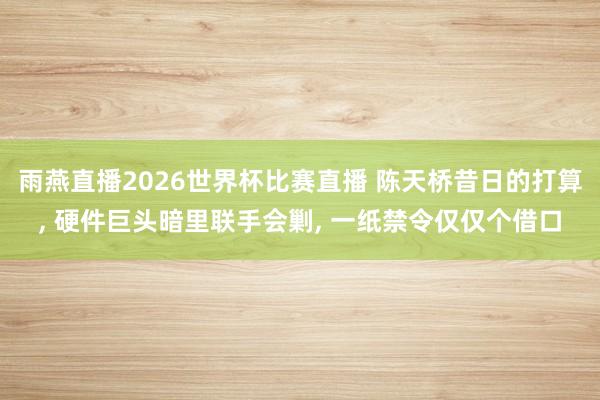 雨燕直播2026世界杯比赛直播 陈天桥昔日的打算, 硬件巨头暗里联手会剿, 一纸禁令仅仅个借口