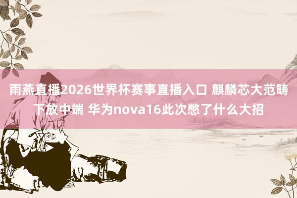 雨燕直播2026世界杯赛事直播入口 麒麟芯大范畴下放中端 华为nova16此次憋了什么大招