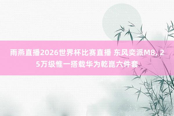 雨燕直播2026世界杯比赛直播 东风奕派M8, 25万级惟一搭载华为乾崑六件套