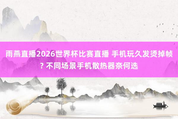 雨燕直播2026世界杯比赛直播 手机玩久发烫掉帧? 不同场景手机散热器奈何选