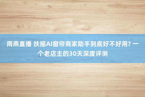 雨燕直播 扶摇AI窗帘商家助手到底好不好用? 一个老店主的30天深度评测