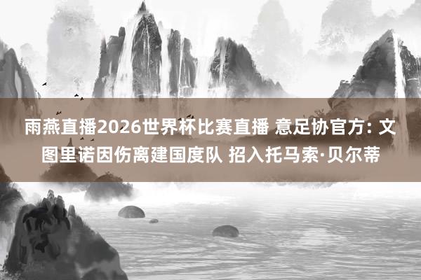 雨燕直播2026世界杯比赛直播 意足协官方: 文图里诺因伤离建国度队 招入托马索·贝尔蒂