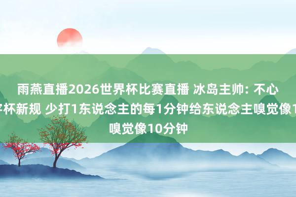 雨燕直播2026世界杯比赛直播 冰岛主帅: 不心爱寰宇杯新规 少打1东说念主的每1分钟给东说念主嗅觉像10分钟