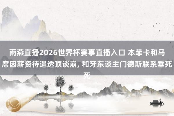 雨燕直播2026世界杯赛事直播入口 本菲卡和马席因薪资待遇透顶谈崩, 和牙东谈主门德斯联系垂死