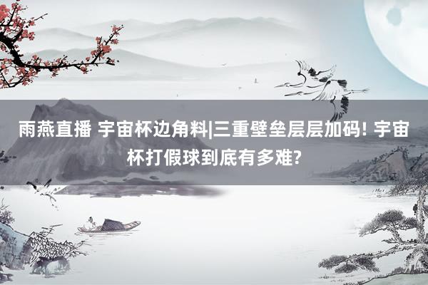 雨燕直播 宇宙杯边角料|三重壁垒层层加码! 宇宙杯打假球到底有多难?