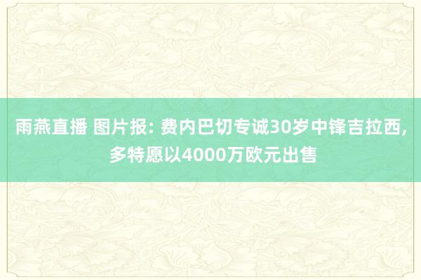 雨燕直播 图片报: 费内巴切专诚30岁中锋吉拉西, 多特愿以4000万欧元出售