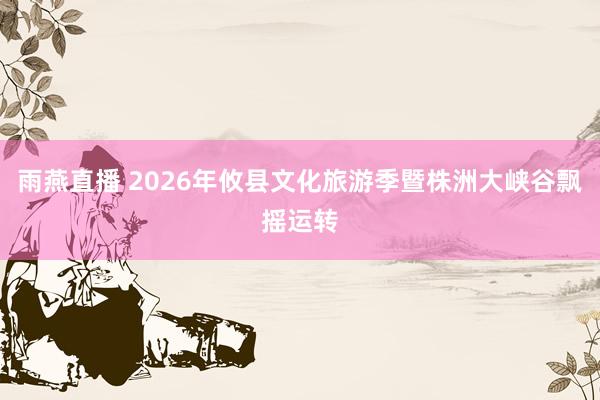 雨燕直播 2026年攸县文化旅游季暨株洲大峡谷飘摇运转
