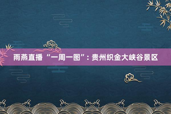 雨燕直播 “一周一图”: 贵州织金大峡谷景区