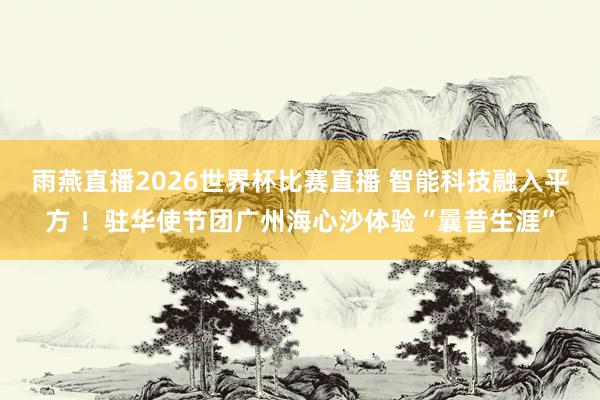 雨燕直播2026世界杯比赛直播 智能科技融入平方 ！驻华使节