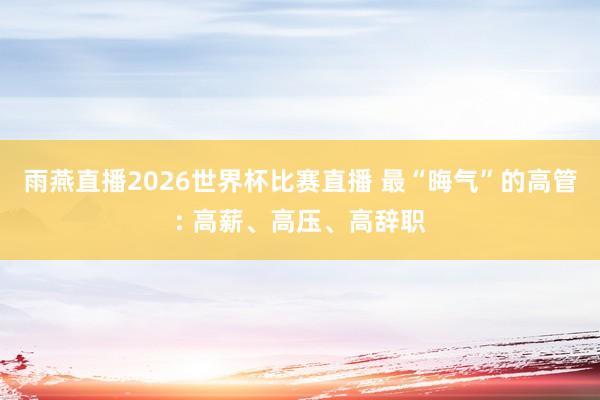 雨燕直播2026世界杯比赛直播 最“晦气”的高管: 高薪、高压、高辞职