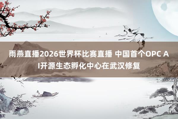 雨燕直播2026世界杯比赛直播 中国首个OPC AI开源生态
