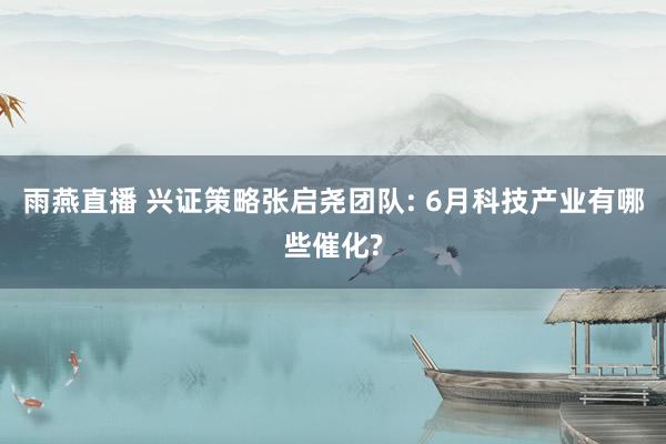 雨燕直播 兴证策略张启尧团队: 6月科技产业有哪些催化?
