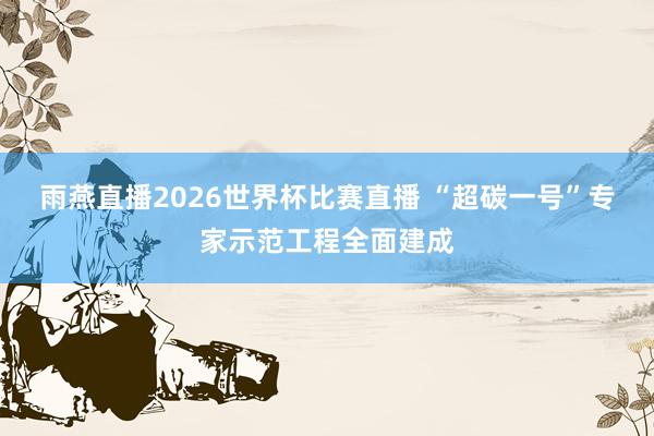 雨燕直播2026世界杯比赛直播 “超碳一号”专家示范工程全面建成
