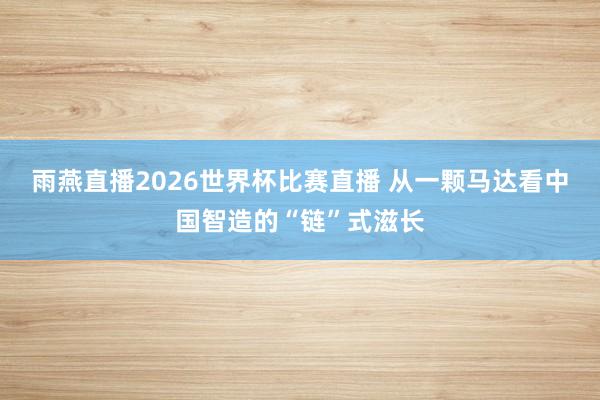 雨燕直播2026世界杯比赛直播 从一颗马达看中国智造的“链”式滋长