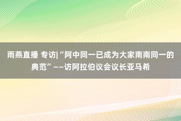 雨燕直播 专访|“阿中同一已成为大家南南同一的典范”——访阿拉伯议会议长亚马希
