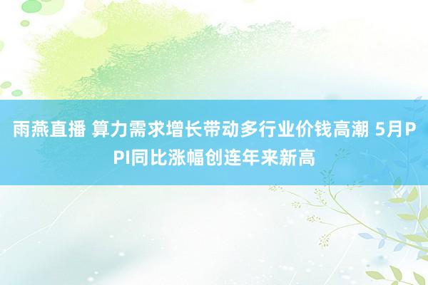 雨燕直播 算力需求增长带动多行业价钱高潮 5月PPI同比涨幅创连年来新高