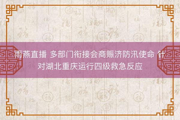 雨燕直播 多部门衔接会商赈济防汛使命 针对湖北重庆运行四级救急反应