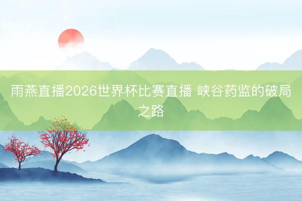 雨燕直播2026世界杯比赛直播 峡谷药监的破局之路