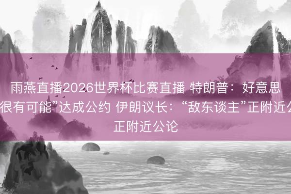 雨燕直播2026世界杯比赛直播 特朗普：好意思伊“很有可能”达成公约 伊朗议长：“敌东谈主”正附近公论