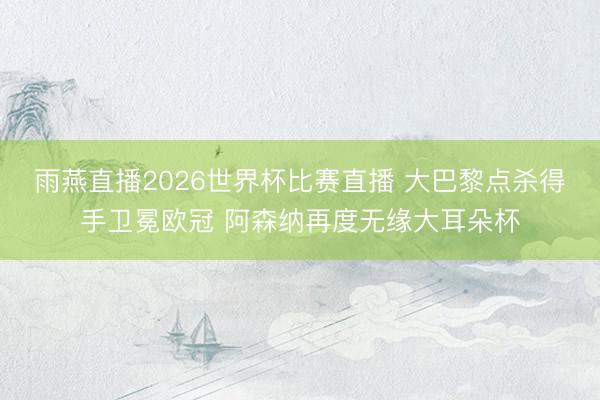 雨燕直播2026世界杯比赛直播 大巴黎点杀得手卫冕欧冠 阿森纳再度无缘大耳朵杯