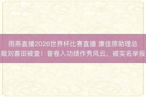 雨燕直播2026世界杯比赛直播 康佳原助理总裁刘喜田被查！曾卷入功绩作秀风云，被实名举报