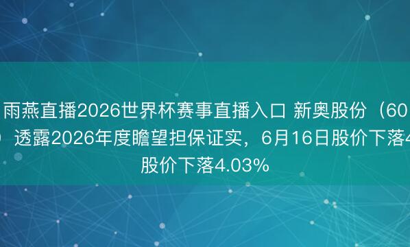 雨燕直播2026世界杯赛事直播入口 新奥股份(600803)透露2026年度瞻望担保证实,6月16日股价下落4.03%