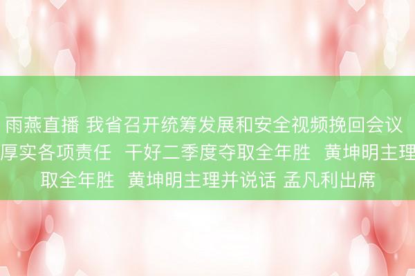 雨燕直播 我省召开统筹发展和安全视频挽回会议  统筹捏好修订发展厚实各项责任  干好二季度夺取全年胜  黄坤明主理并说话 孟凡利出席