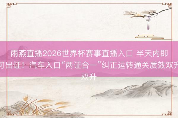 雨燕直播2026世界杯赛事直播入口 半天内即可出证!汽车入口“两证合一”纠正运转通关质效双升