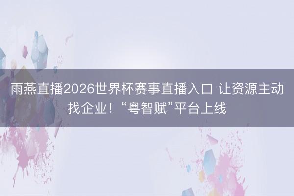 雨燕直播2026世界杯赛事直播入口 让资源主动找企业！“粤智赋”平台上线
