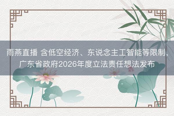 雨燕直播 含低空经济、东说念主工智能等限制,广东省政府2026年度立法责任想法发布
