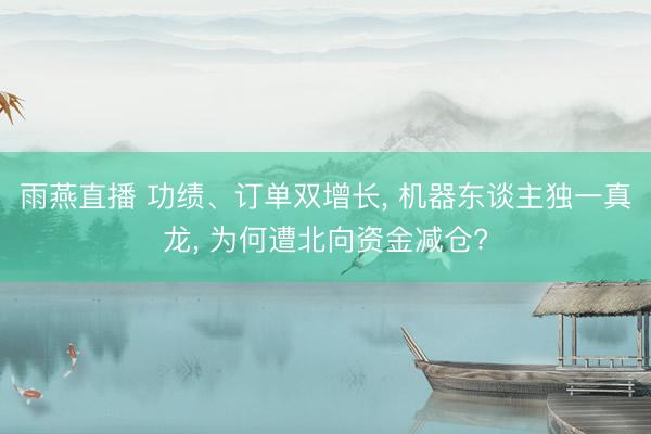 雨燕直播 功绩、订单双增长， 机器东谈主独一真龙， 为何遭北向资金减仓?