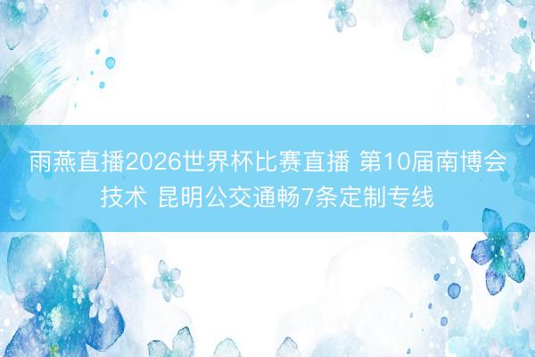 雨燕直播2026世界杯比赛直播 第10届南博会技术 昆明公交通畅7条定制专线