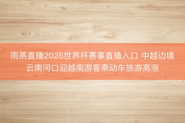 雨燕直播2026世界杯赛事直播入口 中越边境云南河口迎越南游客乘动车旅游高涨